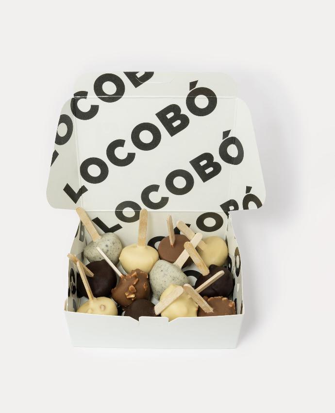 Boîtier CCD Locobó 