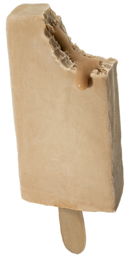 Polo Protéiné – Choco Noisette (boîte standard vrac, 26 unités)