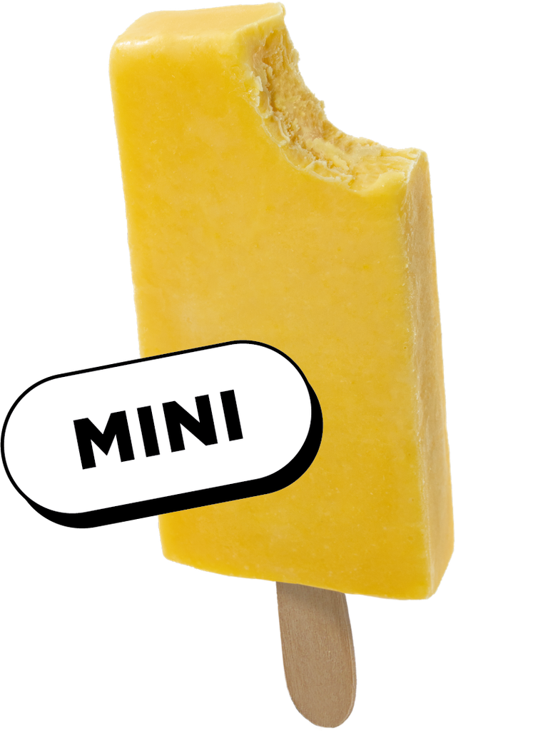 Muestra Mini Polo Mango